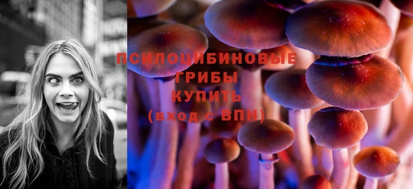 ALPHA PVP Заводоуковск
