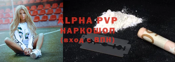 шишки Заволжск