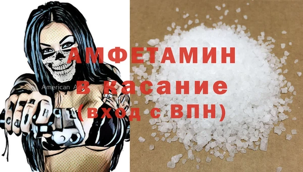 шишки Заволжск