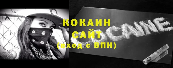 шишки Заволжск
