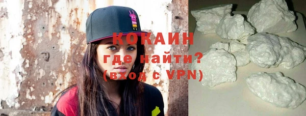 шишки Заволжск