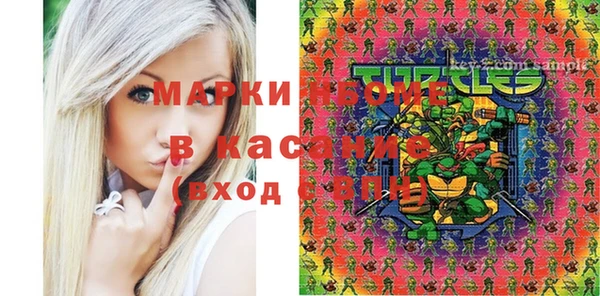 шишки Заволжск
